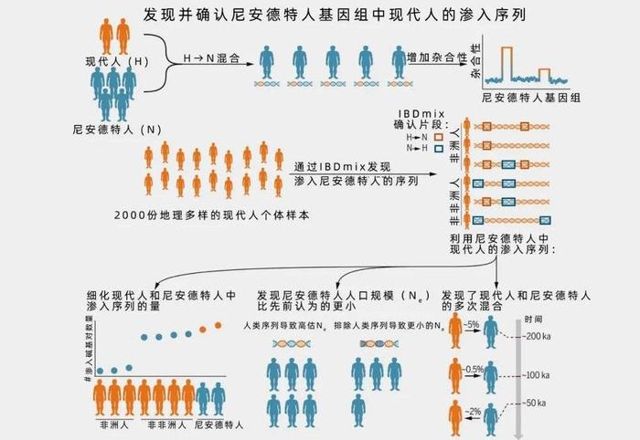 2024年今晚澳门开特马，现代释义下的解释与落实策略