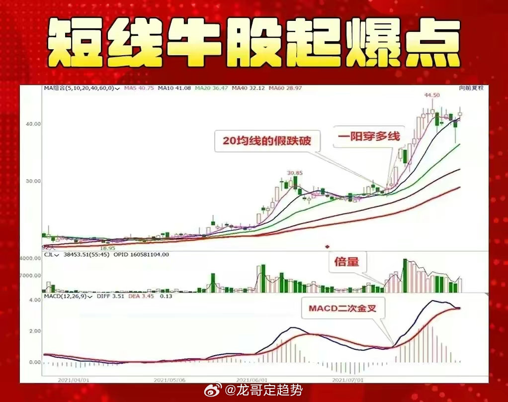 精准跑狗图与线自释义，深度解析与实际应用