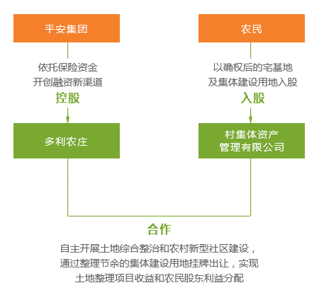 一码一肖一特马报，案例释义、解释与落实的探讨