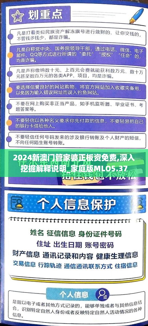 深度解读2024年澳门管家婆资料与学院释义解释落实