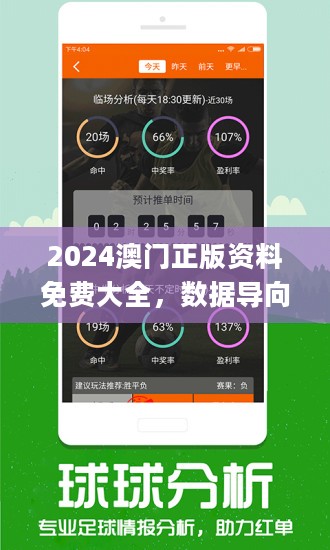 新澳2024今晚开奖资料与气派的释义，落实的探讨