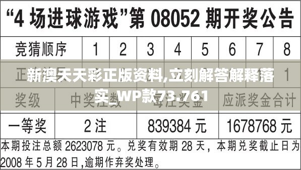 新澳天天彩免费资料查询85期，求精释义、解释与落实