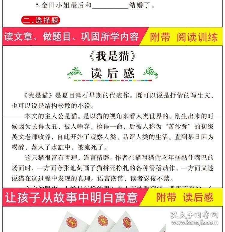 新奥天天彩免费资料最新版本更新内容，性计释义解释落实的重要性