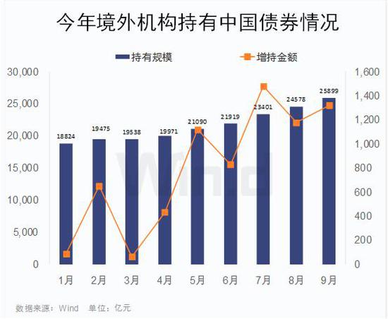 揭秘未来，2025特大牛市即将爆发——以心释义解读市场动向