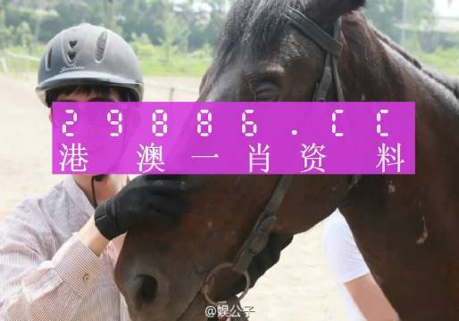 澳门一肖一码一特一中云骑士，研判释义、解释与落实