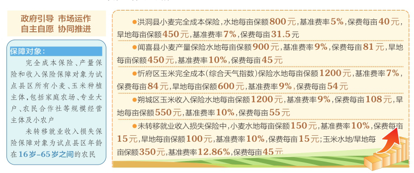 新澳门跑狗图2025年，时效释义、解释与落实