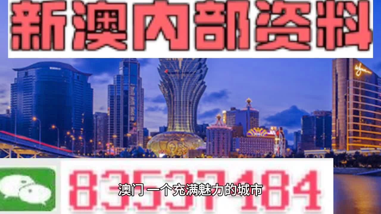 澳门335期资料查看，重磅释义与落实行动