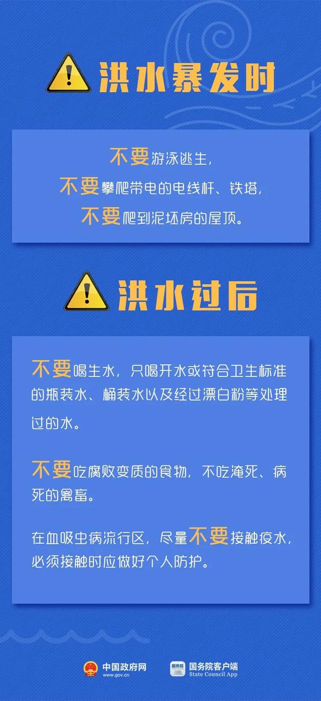 新澳精准资料免费独家释义解释落实，未来之路的精准指引