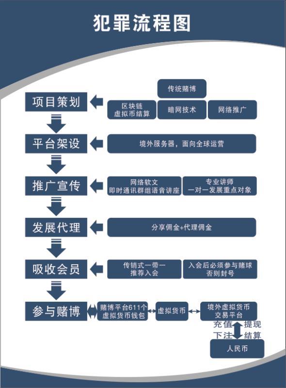 澳门天天开彩大全免费，现代社会的犯罪现象与治理策略