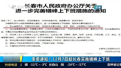 新奥资料免费精准共享，职业释义解释落实的重要性与策略