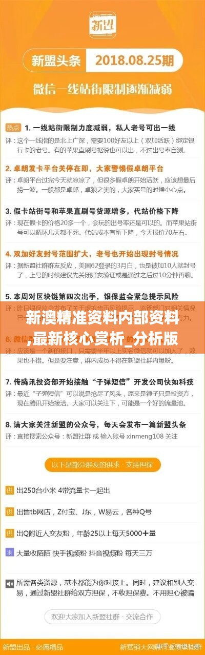 解析新澳今晚资料，精炼释义、解释与落实策略