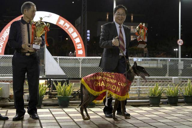 澳门开特马与特色抽奖，开奖结果、回乡释义及其实施落实的探讨