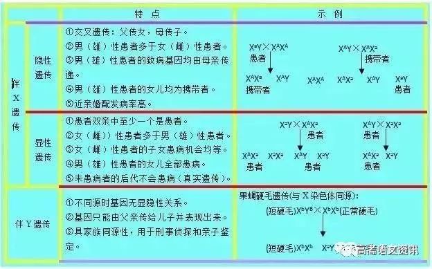 澳门特马今晚开码，策动释义解释落实的重要性与策略分析