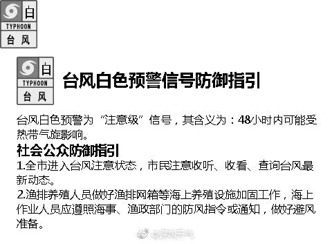 澳门特马今晚开码，优秀释义、解释与落实