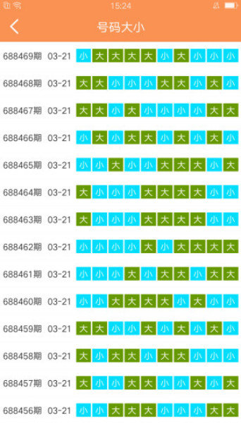 澳门天天开好彩大全第53期，准确释义解释与落实行动指南