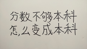 二四六香港资料期期中准与准绳释义解释落实的深度解析