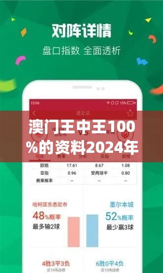 2025年新澳门王中王免费战略与战术释义解释落实详解