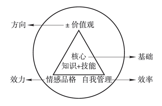 新奥天天精准资料大全及其关键释义解释落实