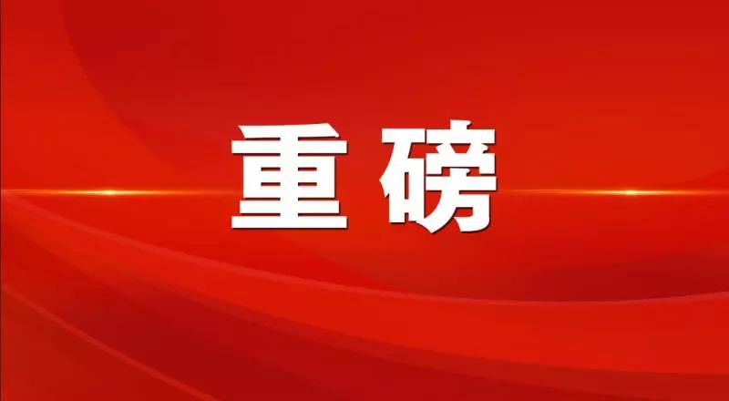 新澳精准资料免费提供，深入释义、解释与落实的探讨（第510期）