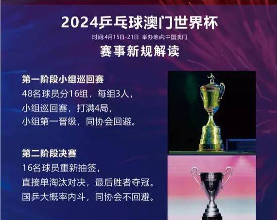 新澳门资料大全正版资料六肖管理释义解释落实