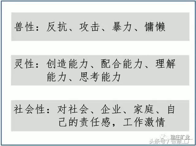 三肖必中特三肖三码的答案与心智释义解释落实