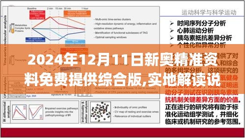 新奥精准资料免费大仝，释义、解释与落实