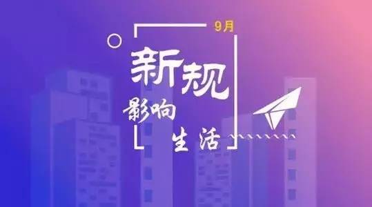 探索与揭秘，关于4949免费资料的获取与落实，以及不倦精神的解读