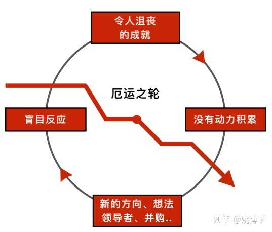 白小姐一肖一必中一肖，揭秘命运之轮与人生选择，兼程释义解释落实