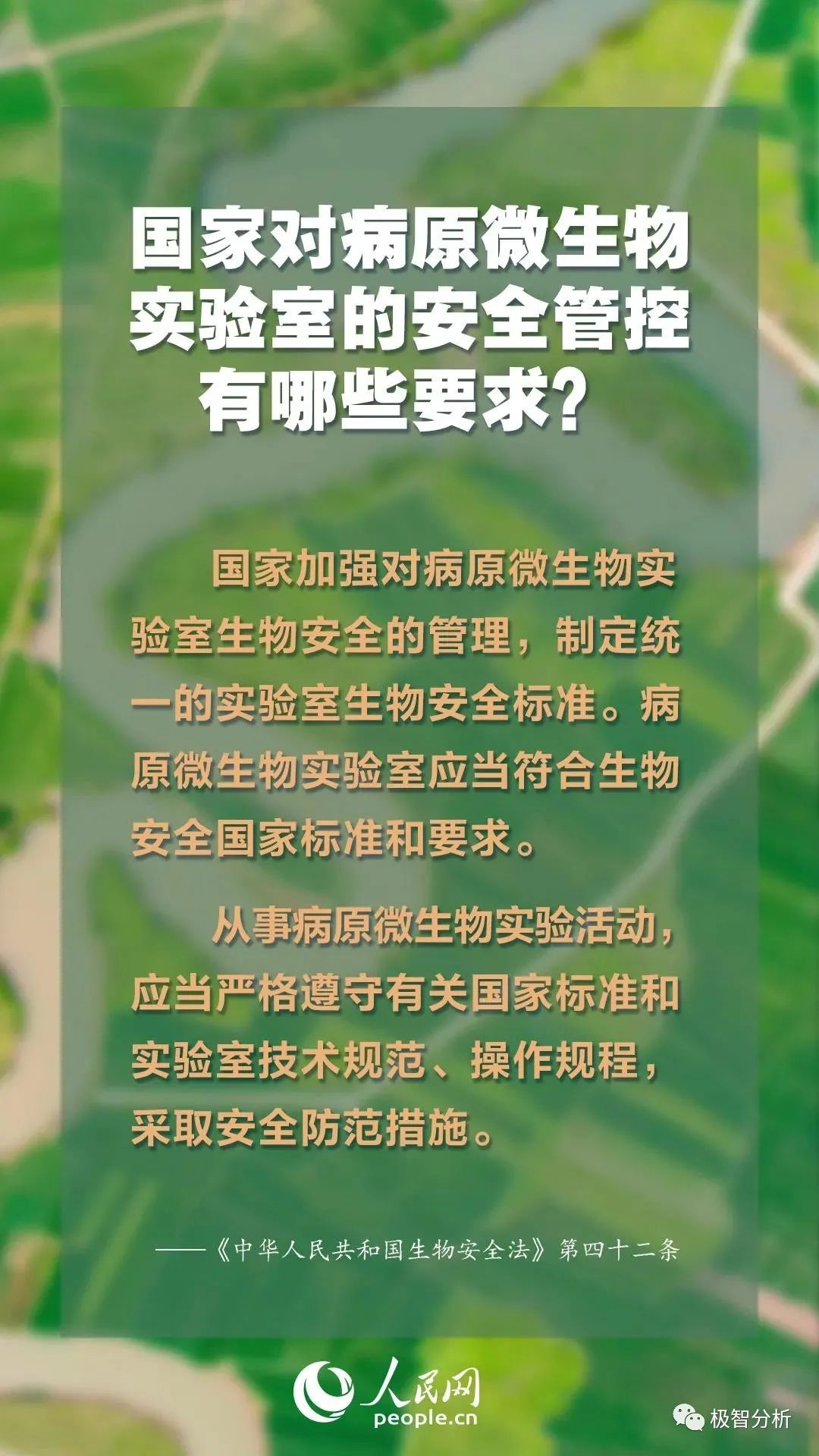 迈向未来的知识宝库，2025年资料大全与传统释义的深度落实