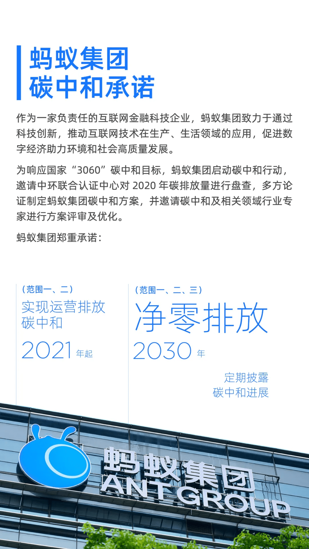 探索未来，关于伙伴释义解释落实与天天彩正版资料大全的探讨