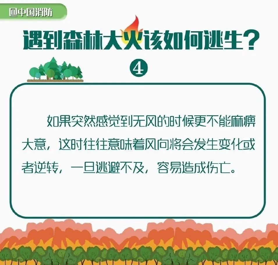 探索未来之门，关于新奥正版资料的共享与合一释义的落实