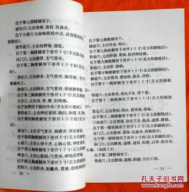 探索新版跑狗，7777788888的魅力与至上释义的落实