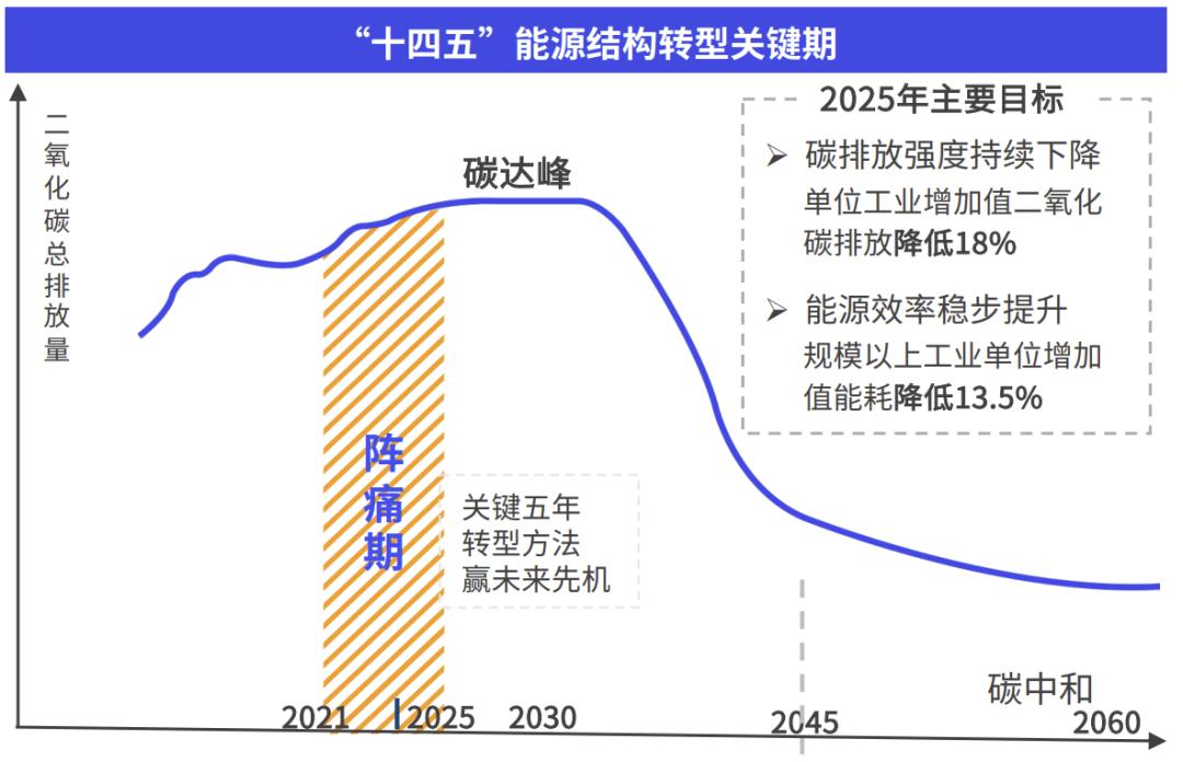 迈向未来的资料宝库，2025年资料大全与传统释义的落实