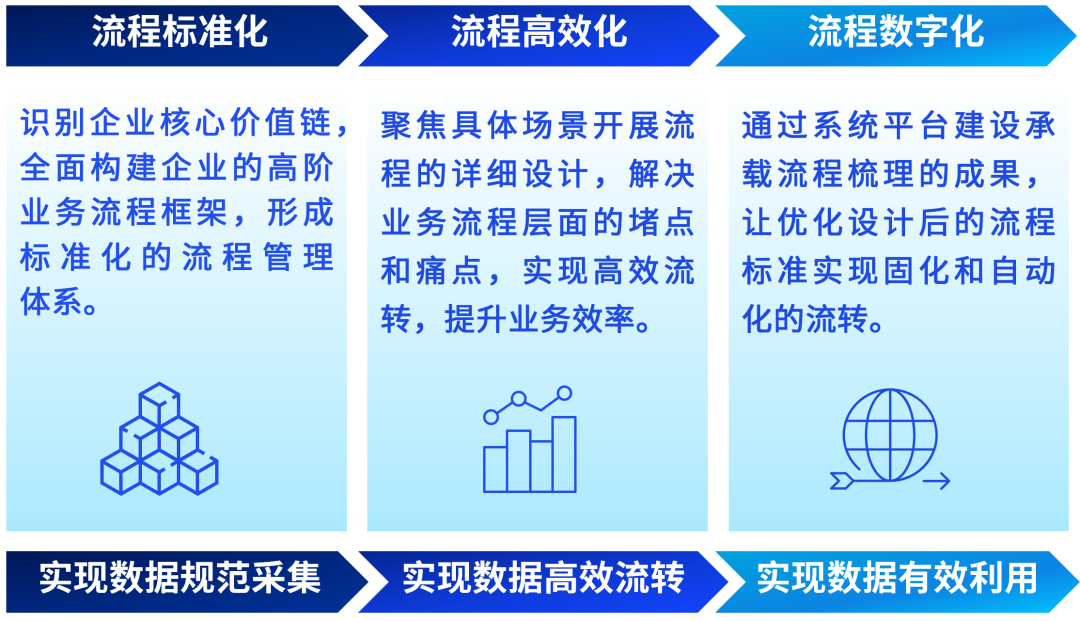 探索数字背后的故事，澳门王中王与洗练释义的落实之旅（2025年展望）